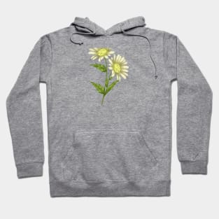 Daisy Plant 3 Botanical Hoodie